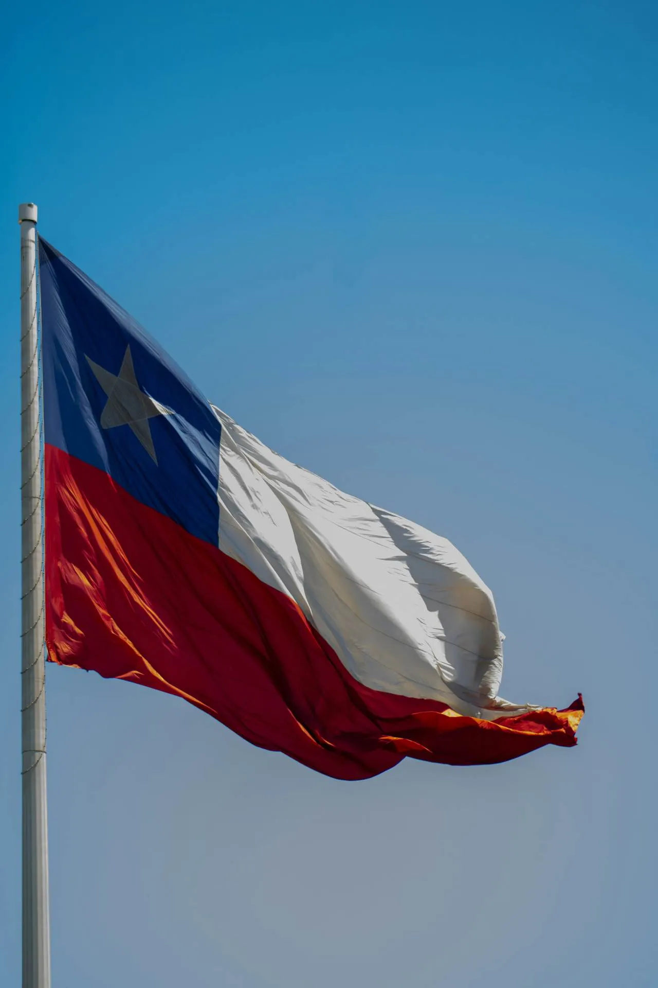 Bandera de Chile en un entorno institucional